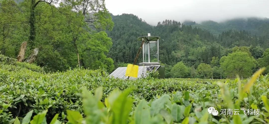 休宁县利用云飞太阳能测报灯打造秀美皖南