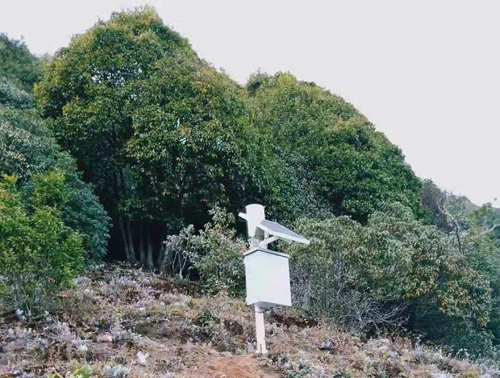 自动雨量站