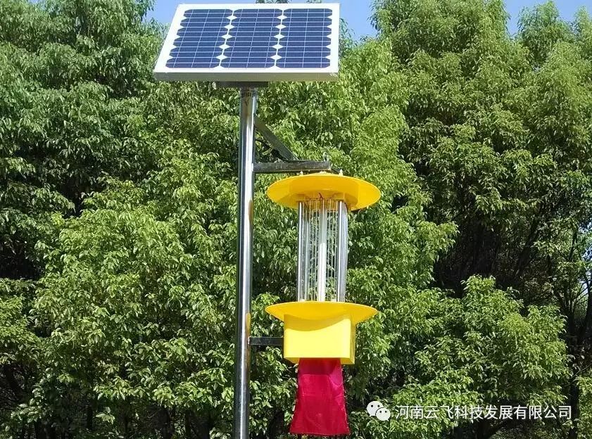 频振式太阳能杀虫灯保障果园品质安全